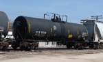 ECLX 16094 (1)